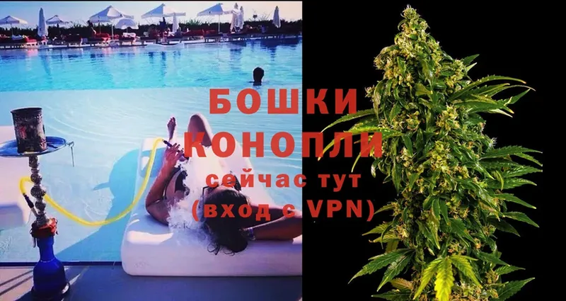 купить наркотики сайты  Кувшиново  Каннабис OG Kush 